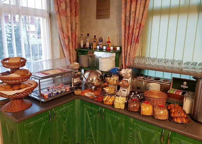 Hotel Sanatorium Mariot Františkovy Lázně